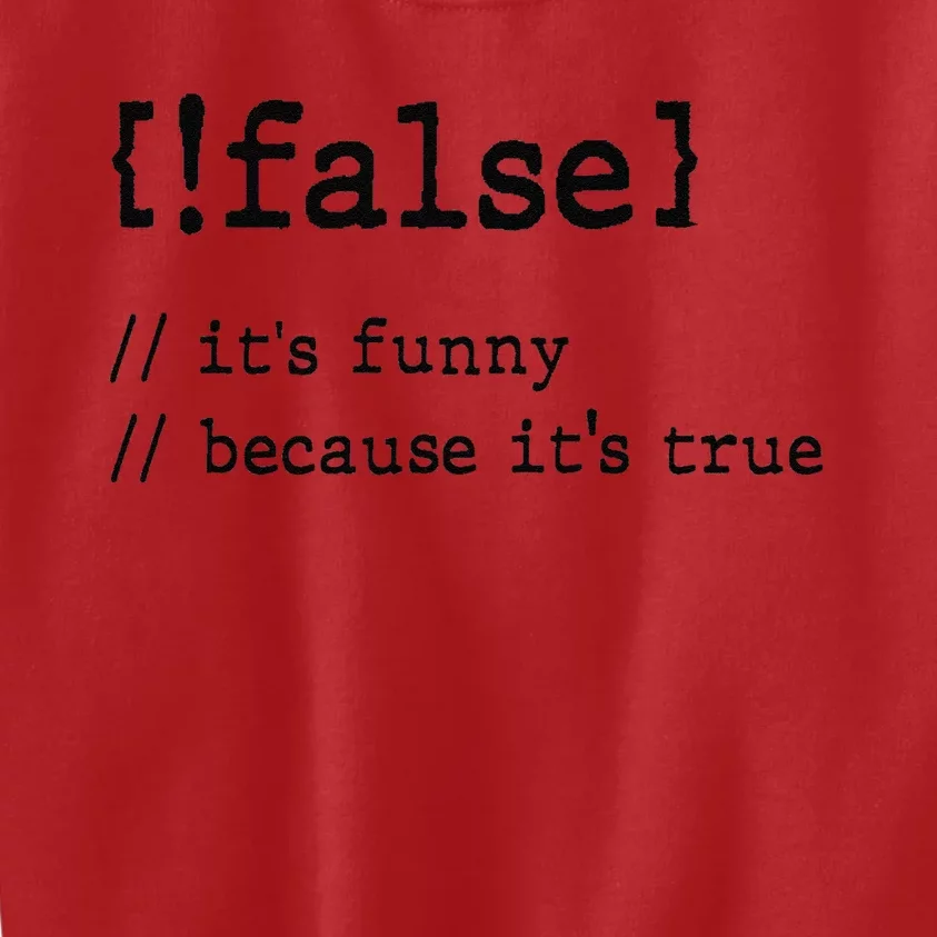 False ItS Funny Because ItS True Computer Programming Kids Sweatshirt