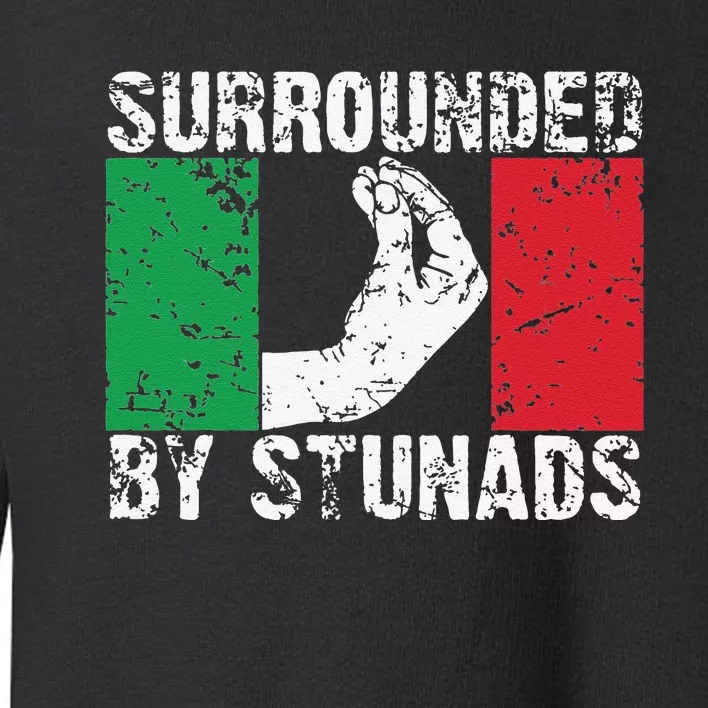 Funny Italian Gift Cool Surrounded By Stunads Gift Toddler Sweatshirt