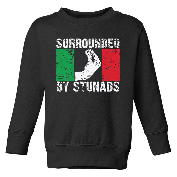 Funny Italian Gift Cool Surrounded By Stunads Gift Toddler Sweatshirt