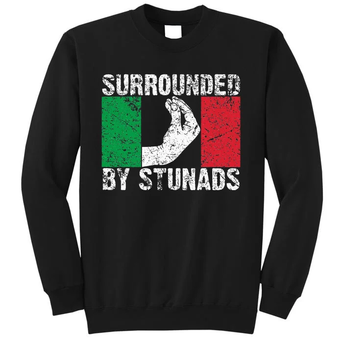 Funny Italian Gift For Cool Surrounded By Stunads Sweatshirt