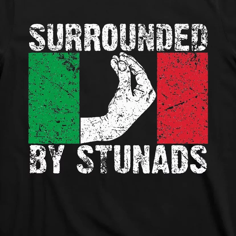 Funny Italian Gift For Cool Surrounded By Stunads T-Shirt