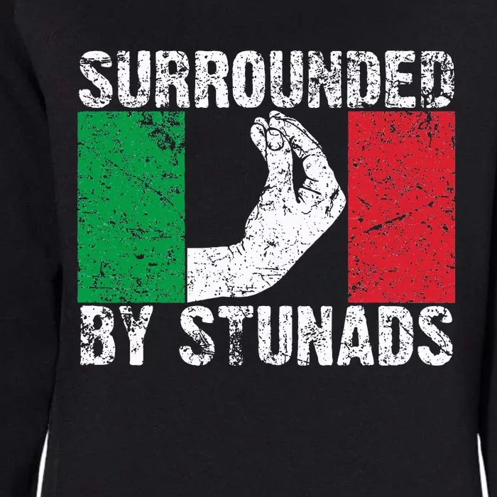 Funny Italian Gift For Cool Surrounded By Stunads Womens California Wash Sweatshirt