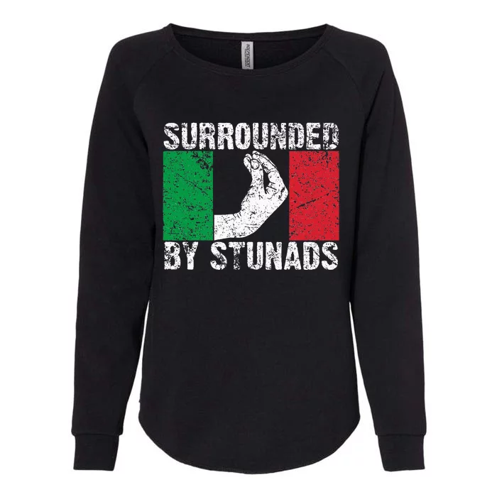 Funny Italian Gift For Cool Surrounded By Stunads Womens California Wash Sweatshirt