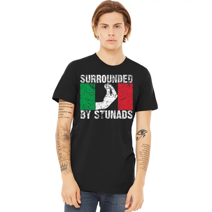 Funny Italian Gift For Cool Surrounded By Stunads Premium T-Shirt