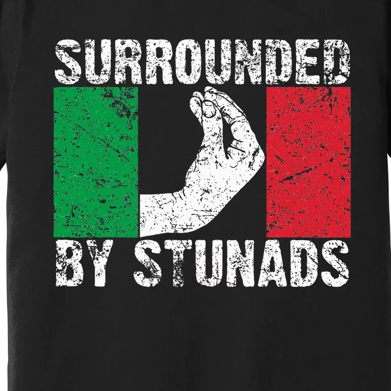 Funny Italian Gift For Cool Surrounded By Stunads Premium T-Shirt