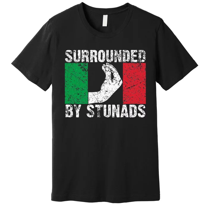 Funny Italian Gift For Cool Surrounded By Stunads Premium T-Shirt