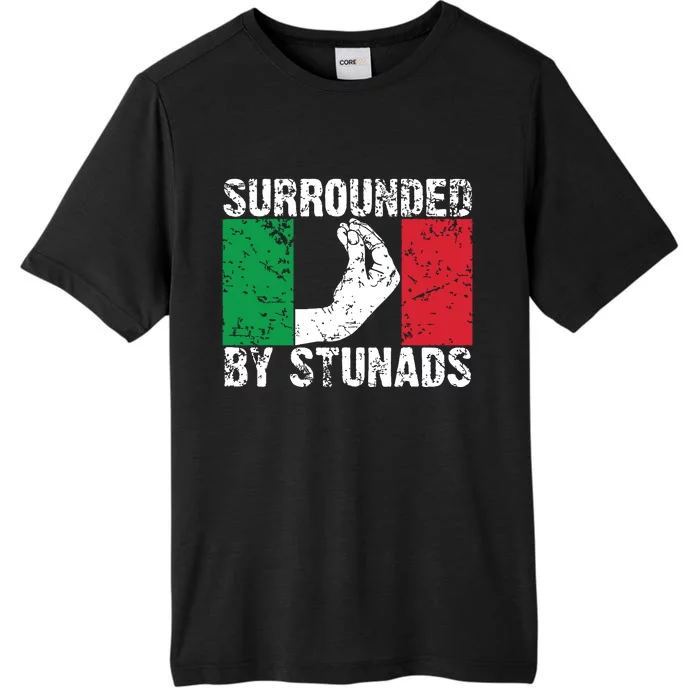 Funny Italian Gift For Men Women Cool Surrounded By Stunads ChromaSoft Performance T-Shirt