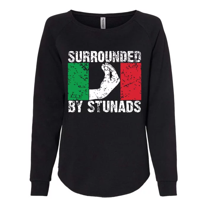 Funny Italian Gift For Men Women Cool Surrounded By Stunads Womens California Wash Sweatshirt