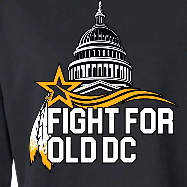 Fight For Old DC Cropped Pullover Crew