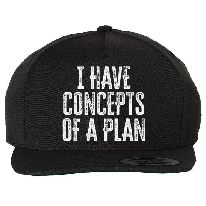 Funny I Have Concepts Of A Plan Gift Wool Snapback Cap