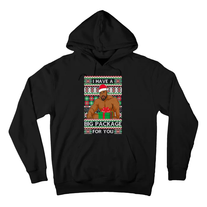 Funny I Have A Big Package For You Ugly Christmas Sweater Hoodie