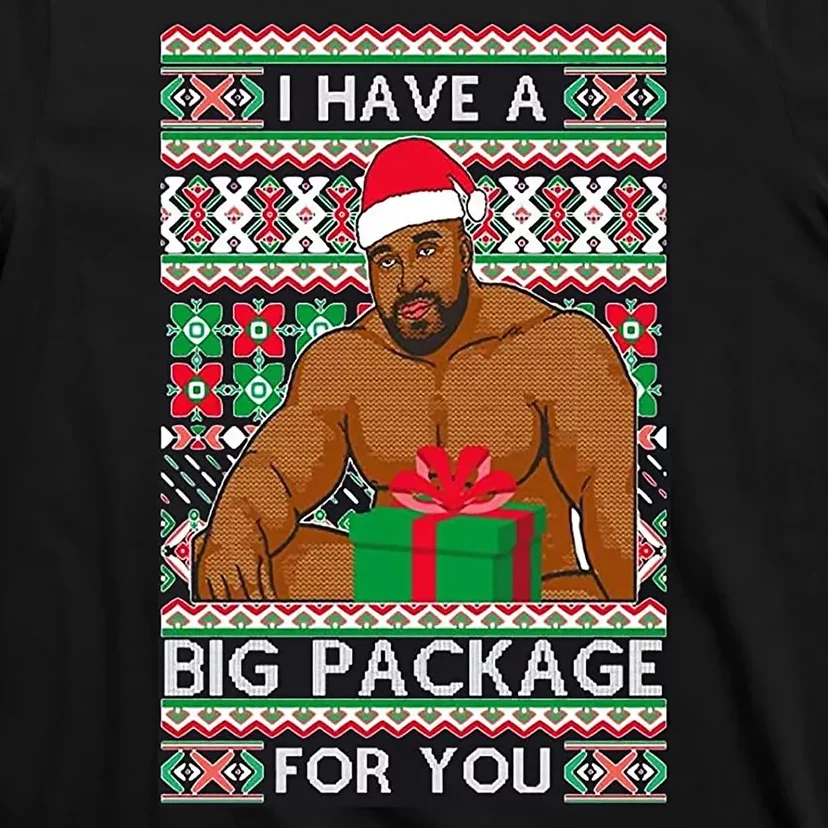 Funny I Have A Big Package For You Ugly Christmas Sweater T-Shirt