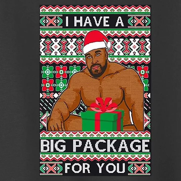 Funny I Have A Big Package For You Ugly Christmas Sweater Toddler T-Shirt