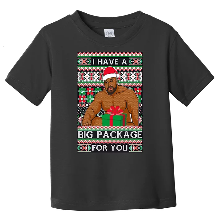 Funny I Have A Big Package For You Ugly Christmas Sweater Toddler T-Shirt