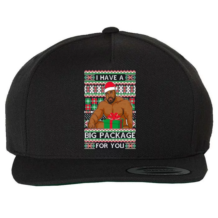 Funny I Have A Big Package For You Ugly Christmas Sweater Wool Snapback Cap