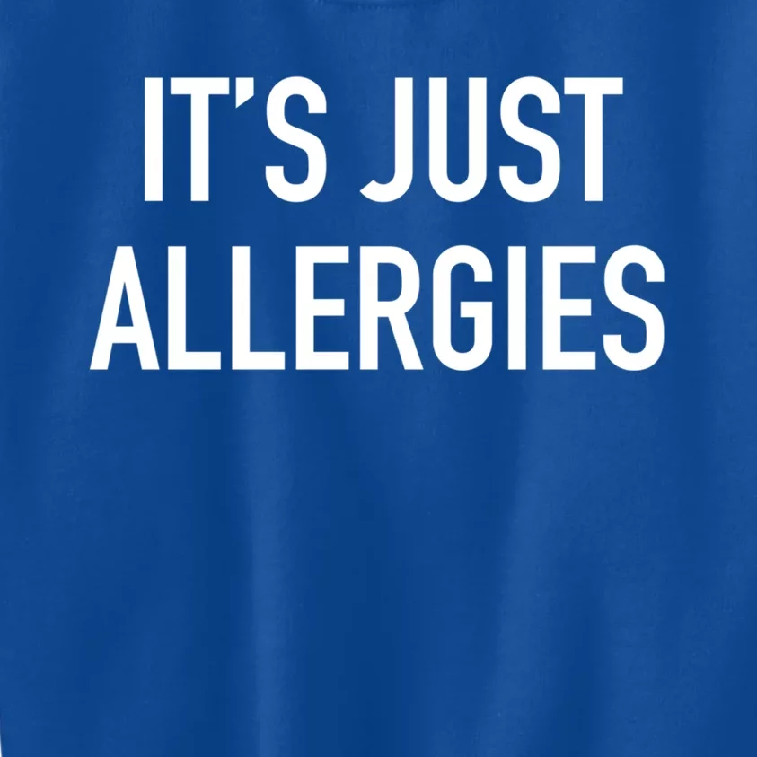 Funny It's Just Allergies Gift Kids Sweatshirt