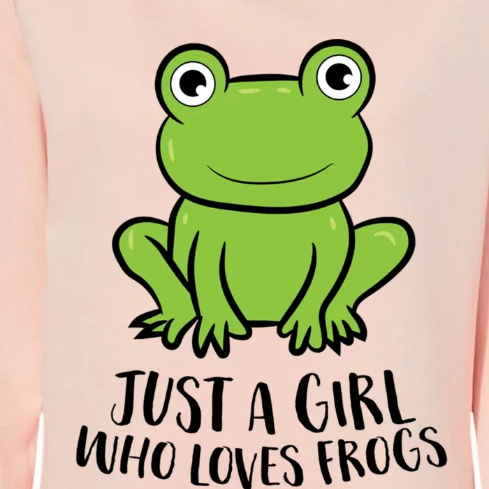 Frog I Just Really Like Frogs Funny Frog Lovers Gift Womens California Wash Sweatshirt