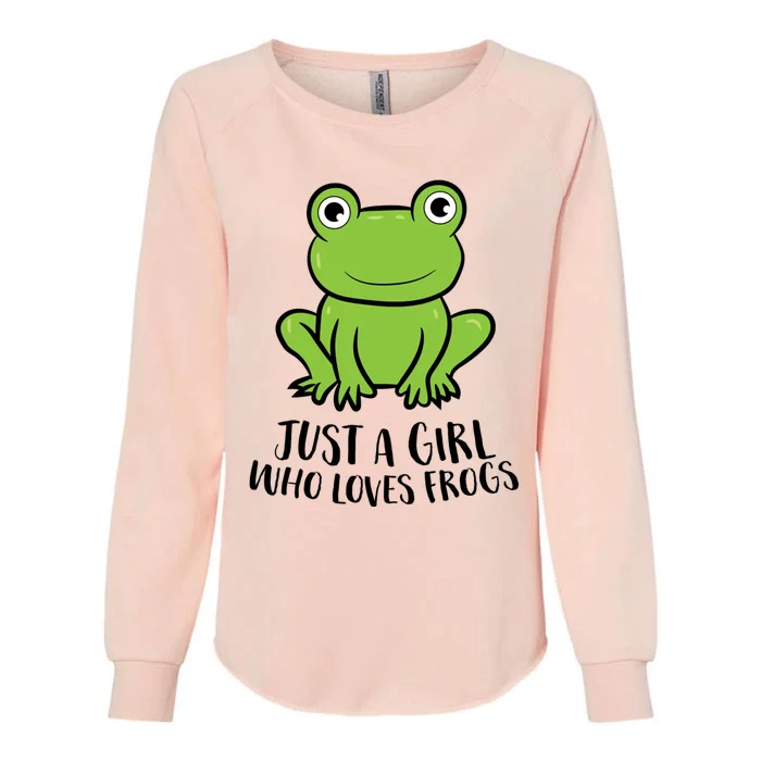 Frog I Just Really Like Frogs Funny Frog Lovers Gift Womens California Wash Sweatshirt