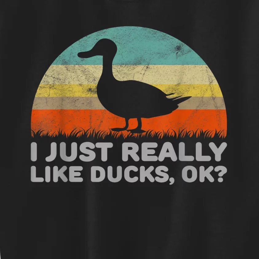 Funny I Just Really Like Ducks OK Kids Sweatshirt