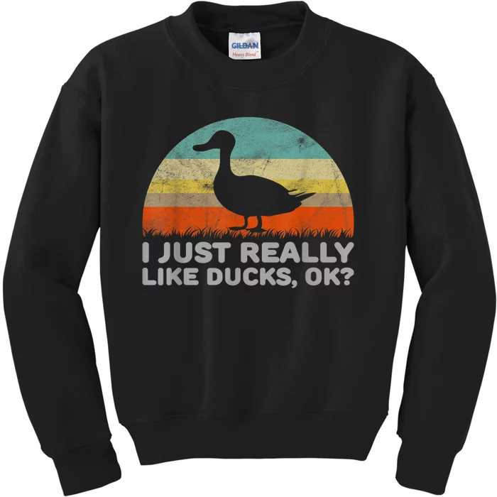 Funny I Just Really Like Ducks OK Kids Sweatshirt