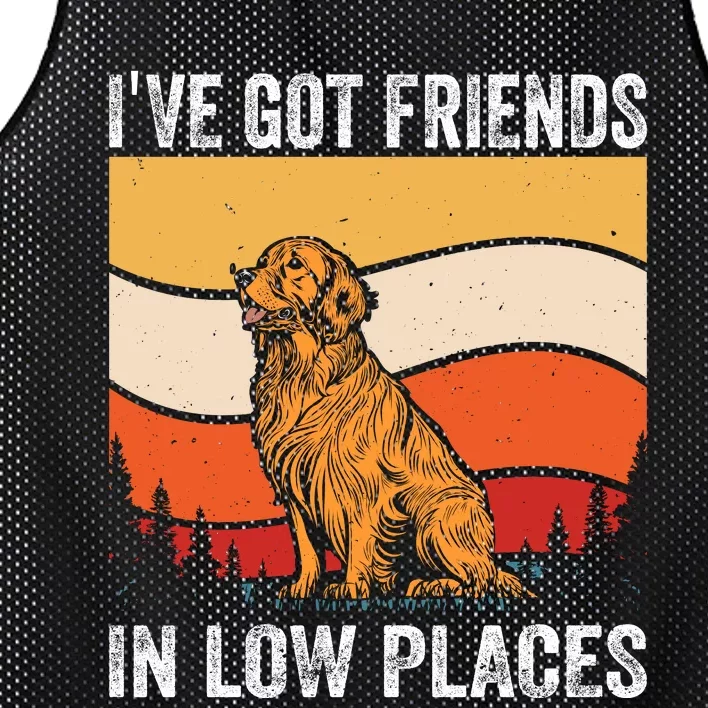 Friends In Low Places Mesh Reversible Basketball Jersey Tank