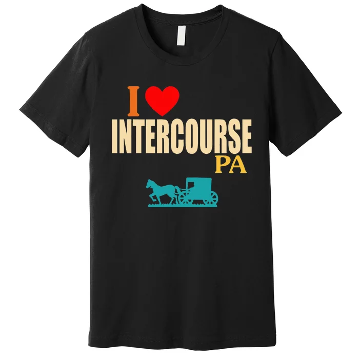 Funny I Love Intercourse Pa Apparel Premium T-Shirt