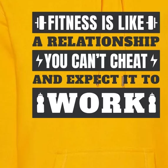 Fitness Is Like A Relationship You Can't Cheat Motivational Premium Hoodie