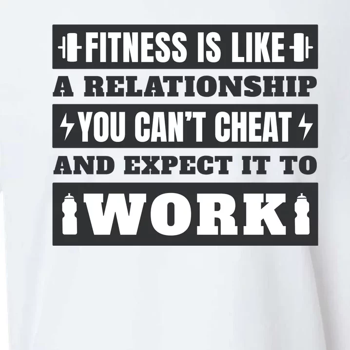 Fitness Is Like A Relationship You Can't Cheat Motivational Sueded Cloud Jersey T-Shirt