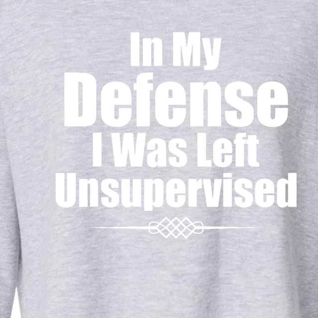 Funny In My Defense I Was Left Unsupervised Cropped Pullover Crew