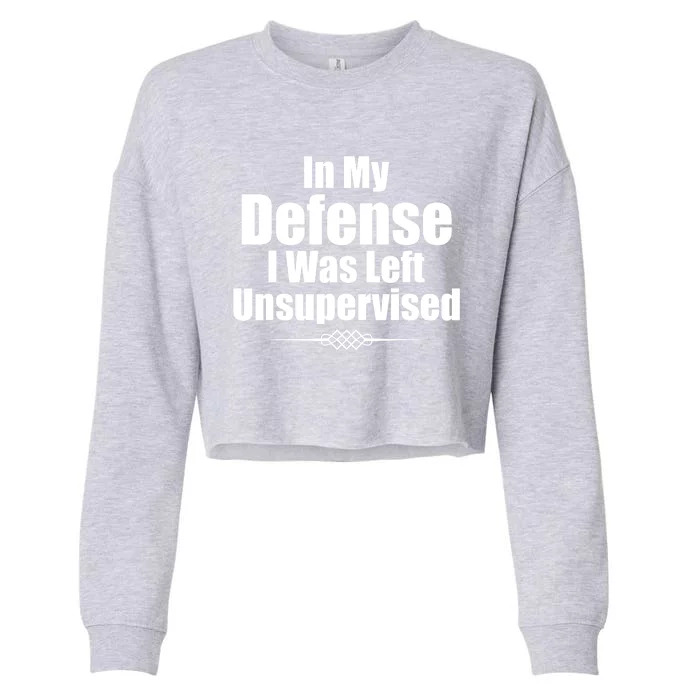 Funny In My Defense I Was Left Unsupervised Cropped Pullover Crew