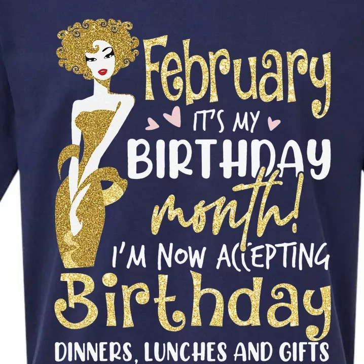 February It's My Birthday Month I'm Now Accepting Birthday Sueded Cloud Jersey T-Shirt