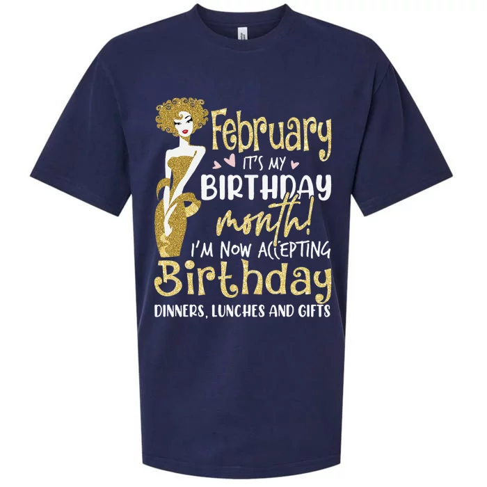 February It's My Birthday Month I'm Now Accepting Birthday Sueded Cloud Jersey T-Shirt