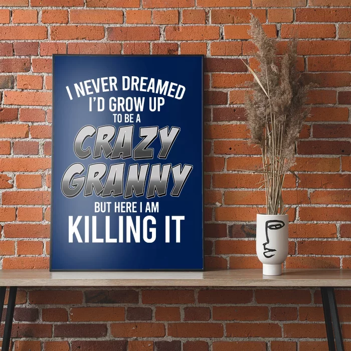 Funny I Never Dreamed I'd Grow Up To Be A Crazy Granny Poster