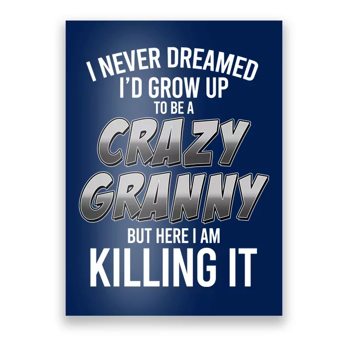 Funny I Never Dreamed I'd Grow Up To Be A Crazy Granny Poster