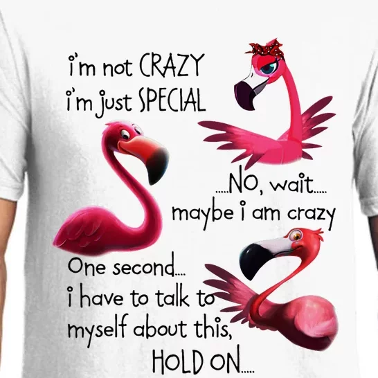 Flamingo IM Not Crazy IM Just Special Funny MotherS Day Pajama Set