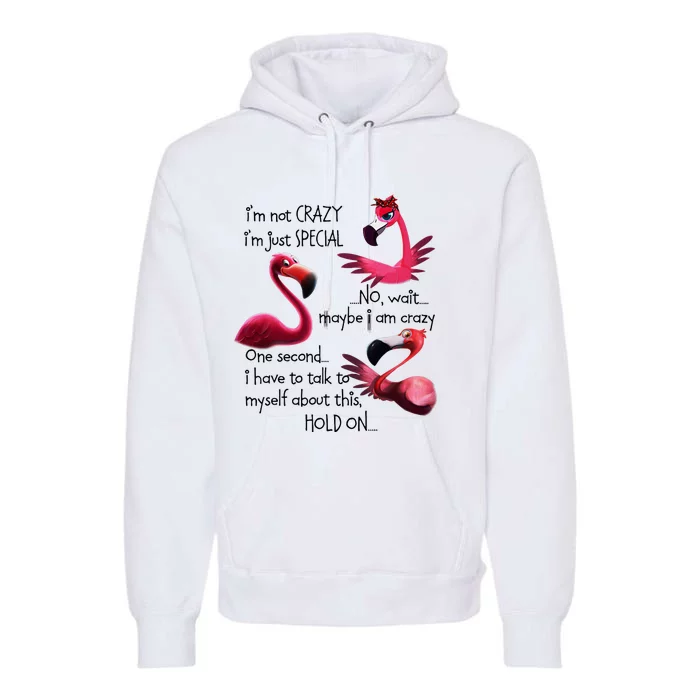 Flamingo IM Not Crazy IM Just Special Funny MotherS Day Premium Hoodie