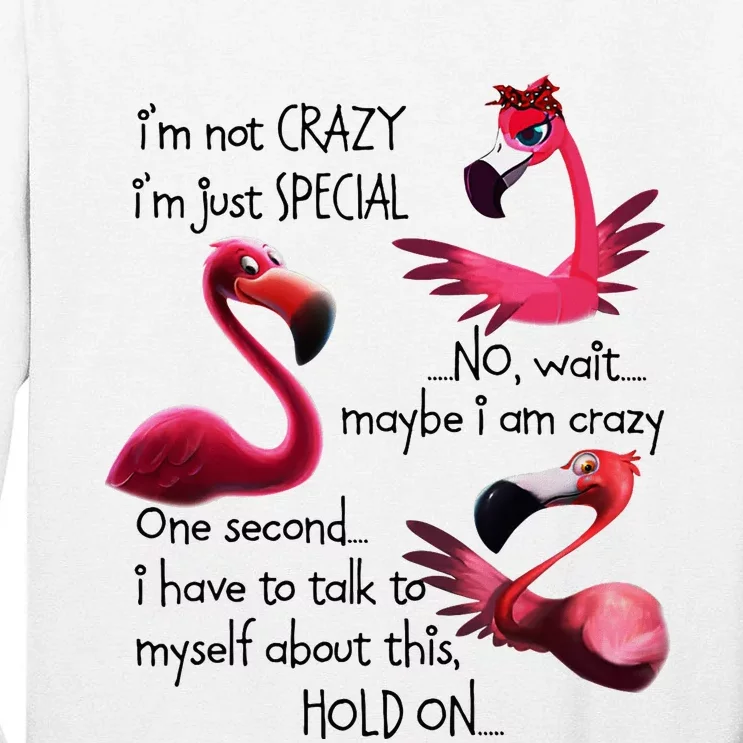 Flamingo IM Not Crazy IM Just Special Funny MotherS Day Tall Long Sleeve T-Shirt