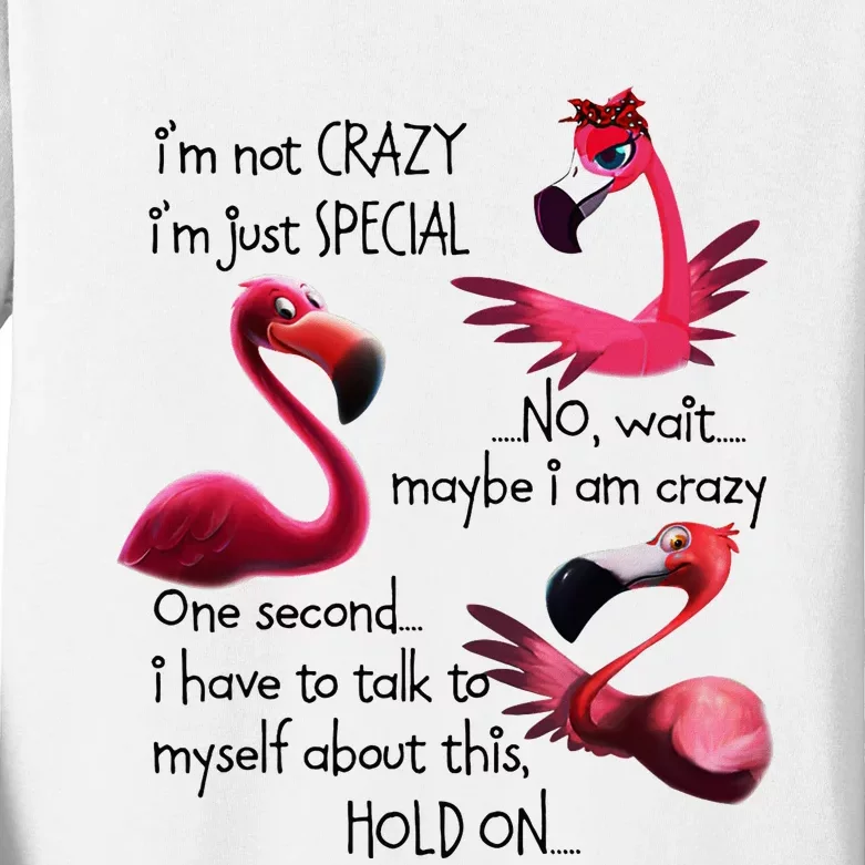 Flamingo IM Not Crazy IM Just Special Funny MotherS Day Kids Long Sleeve Shirt