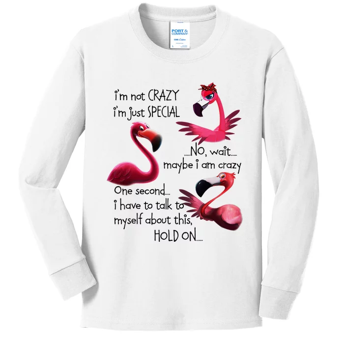 Flamingo IM Not Crazy IM Just Special Funny MotherS Day Kids Long Sleeve Shirt