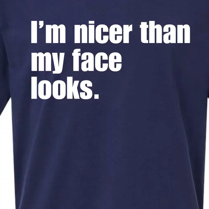 Funny Im Nicer Than My Face Looks Sarcasm Funny Gift Sueded Cloud Jersey T-Shirt