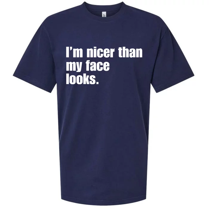 Funny Im Nicer Than My Face Looks Sarcasm Funny Gift Sueded Cloud Jersey T-Shirt