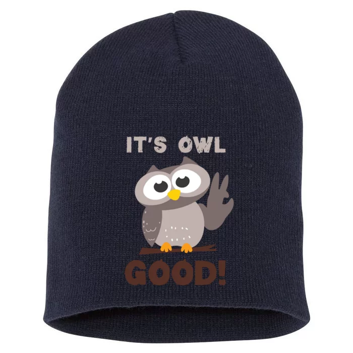 Funny Its Owl Good Birthday Gift For Owl Lovers Short Acrylic Beanie