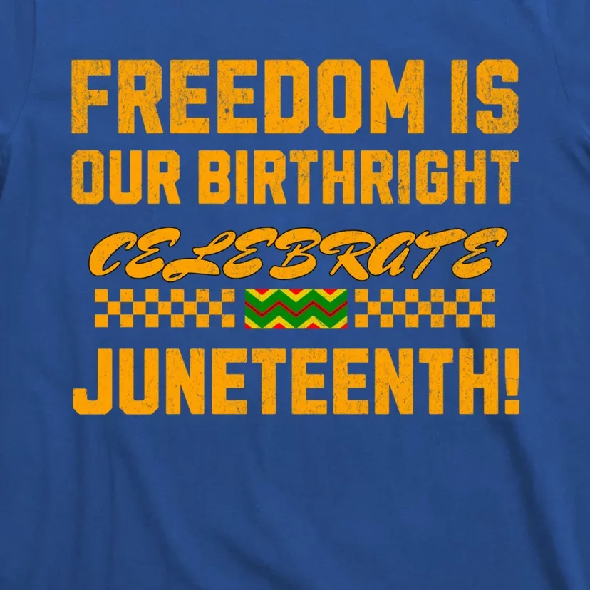 Freedom Is Our Birthright Celebrate Junenth! Gift T-Shirt