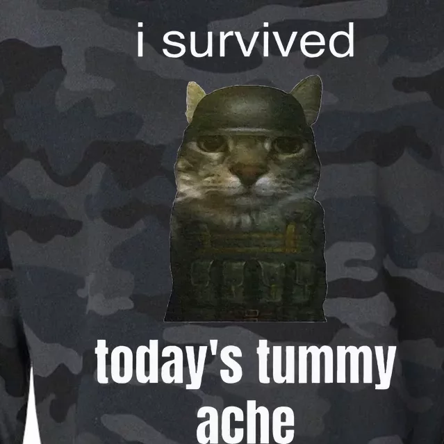 Funny I Survived TodayS Tummy Ache Cropped Pullover Crew