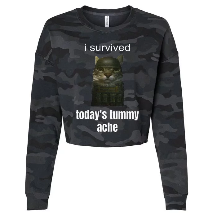 Funny I Survived TodayS Tummy Ache Cropped Pullover Crew