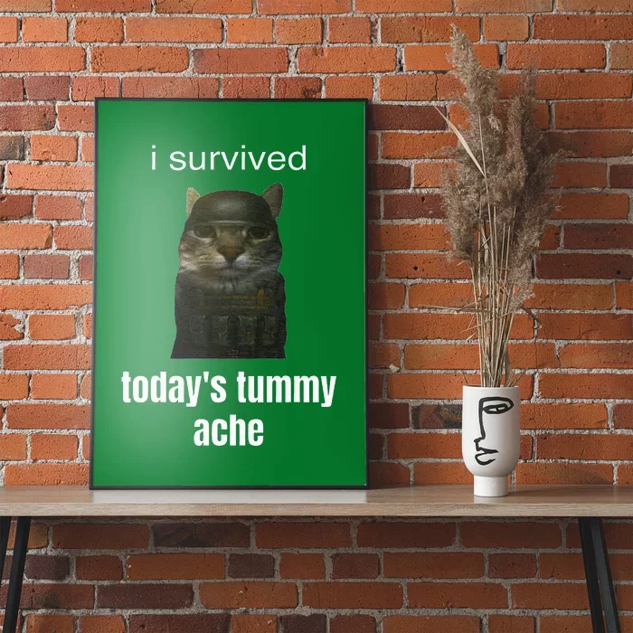 Funny I Survived TodayS Tummy Ache Poster