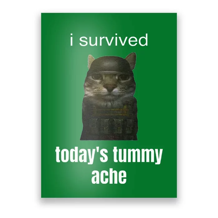 Funny I Survived TodayS Tummy Ache Poster