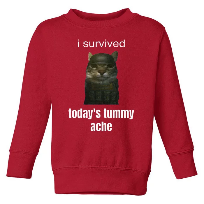 Funny I Survived TodayS Tummy Ache Toddler Sweatshirt