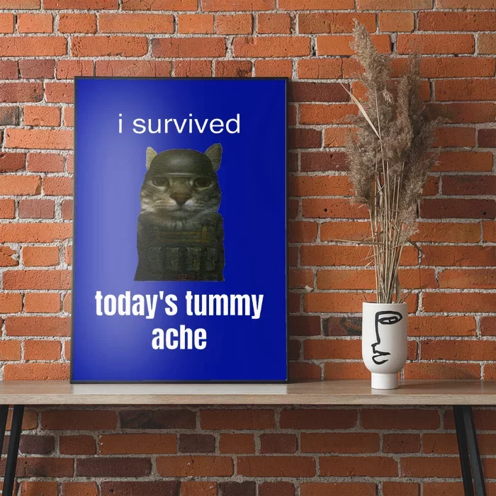 Funny I Survived TodayS Tummy Ache Poster