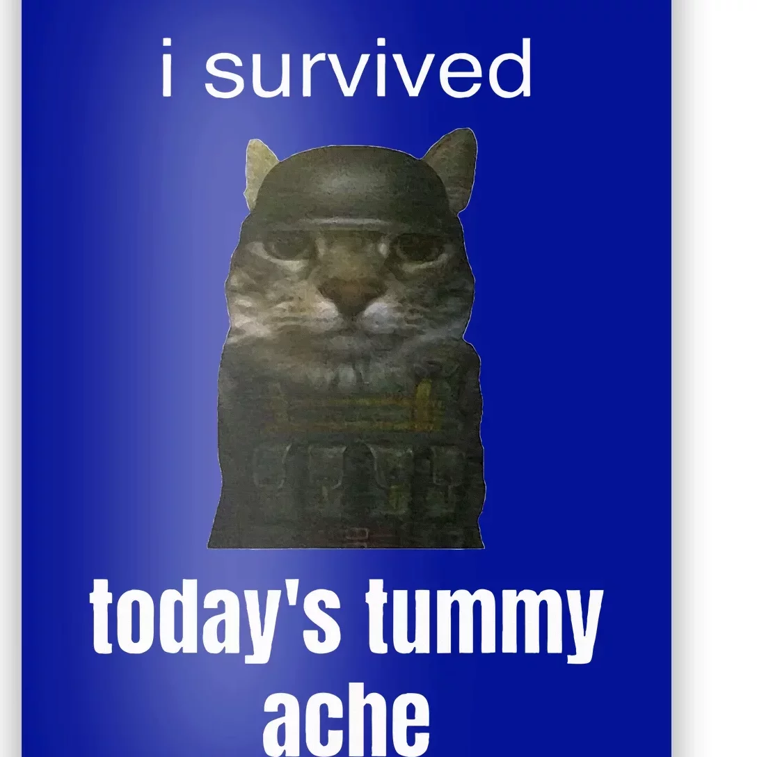 Funny I Survived TodayS Tummy Ache Poster